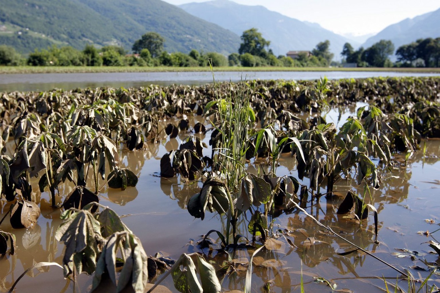 Unwetter,&nbsp;Sant' Antonino TI.