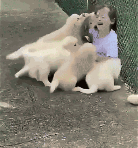 Animiertes GIF