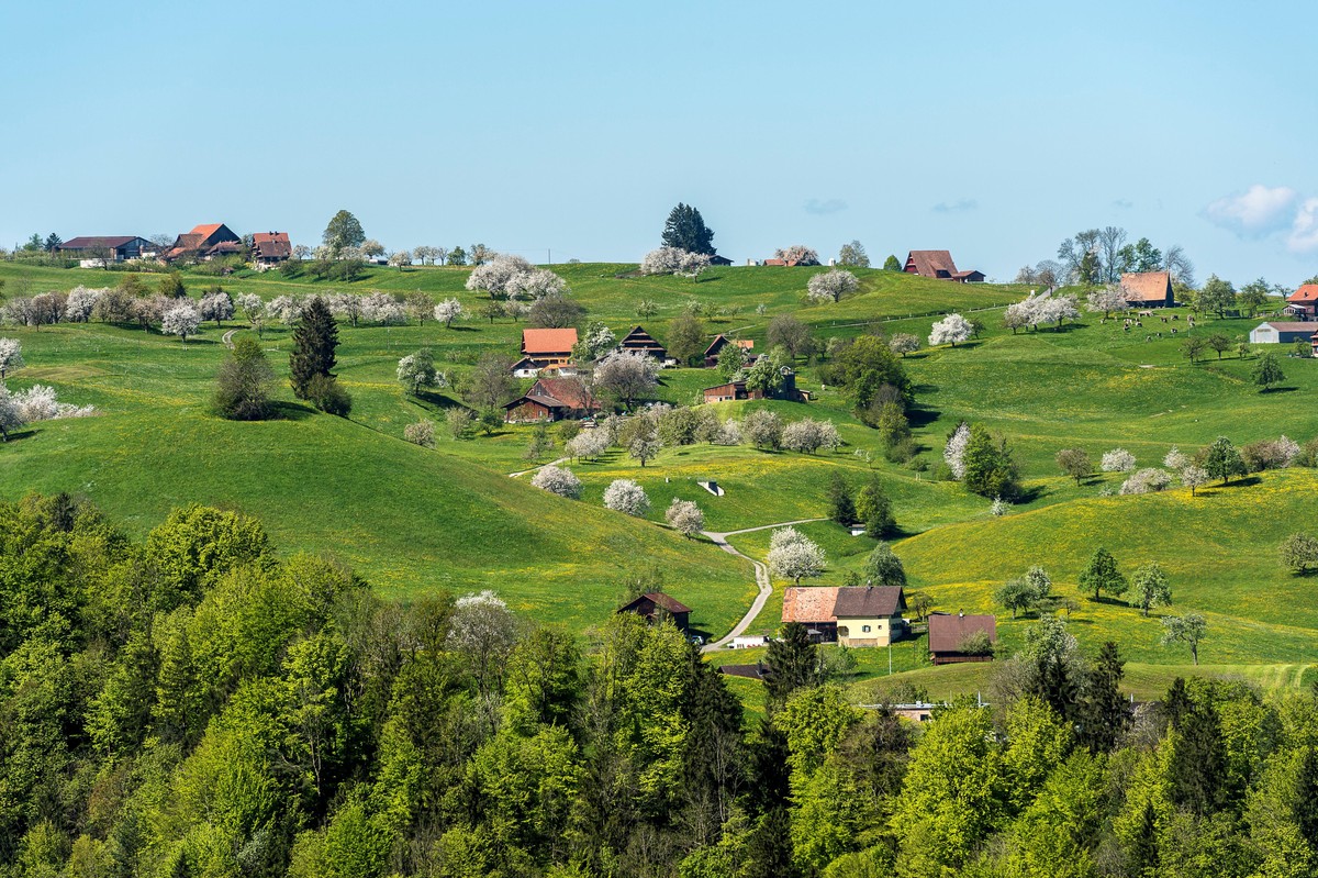 Rauszeit Blütenzauber Kirschblüte Zug/Allenwinden/Menzingen Bilgerighof