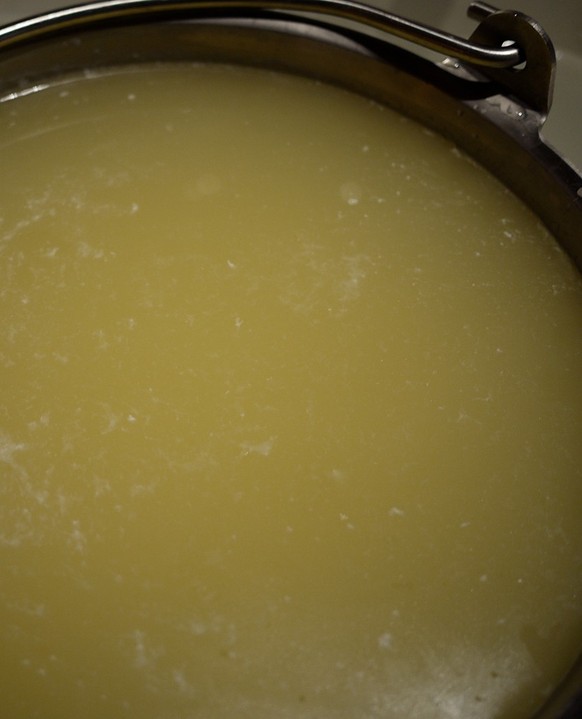 The watery whey: This is the liquid that remains after cheese has been made.  https://commons.wikimedia.org/wiki/File:Goat_Cheddar_-_Lotsa_whey.jpg