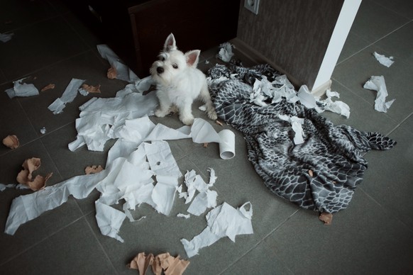 Toilettenpapier