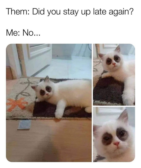 https://twitter.com/WholesomeMeme/status/1658291176708128768/photo/1