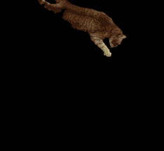 Animiertes GIF