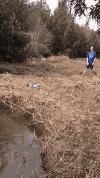 Animiertes GIF