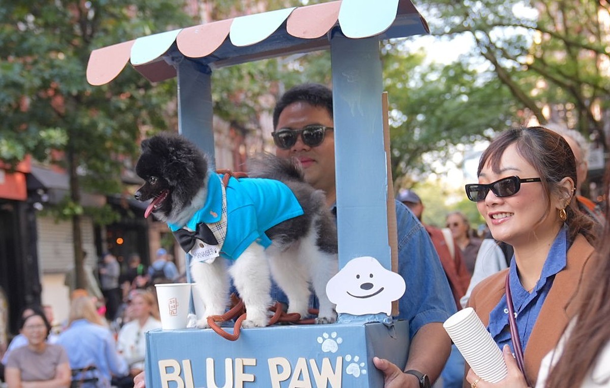 NEW YORK, UNITED STATES - OCTOBER 19: Dog owners in New York City are participating in the Tompkins Square Halloween Dog Parade, dressing their furry friends in colorful costumes on Sunday, October 19 ...