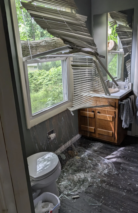 Die lustigsten Fails der Woche