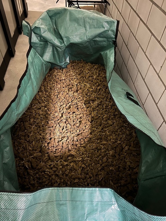 hanfblüten verkauf konkursamt langenthal