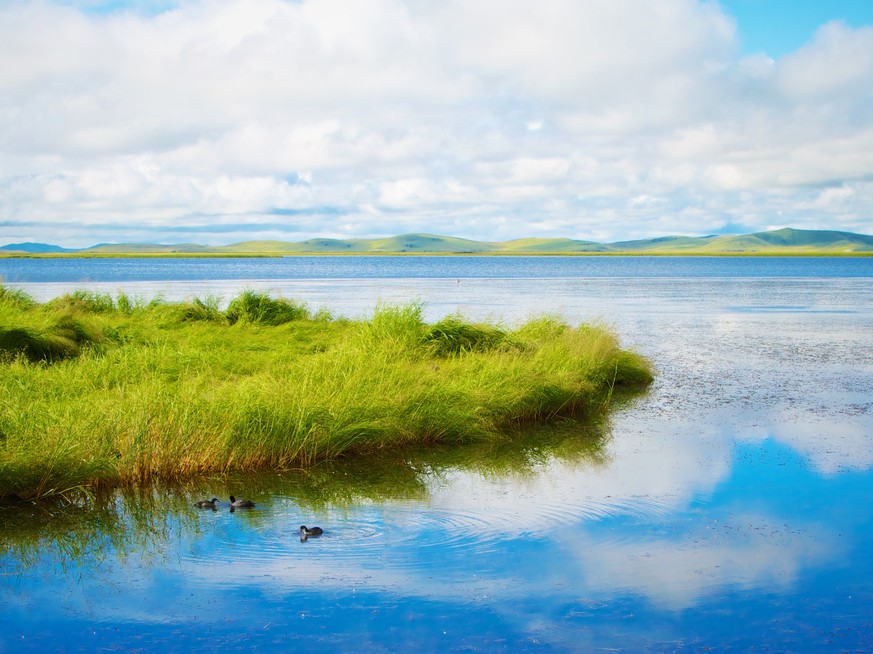 Natur, Bildbearbeitung
https://unsplash.com/photos/2YQoKbyGvDc