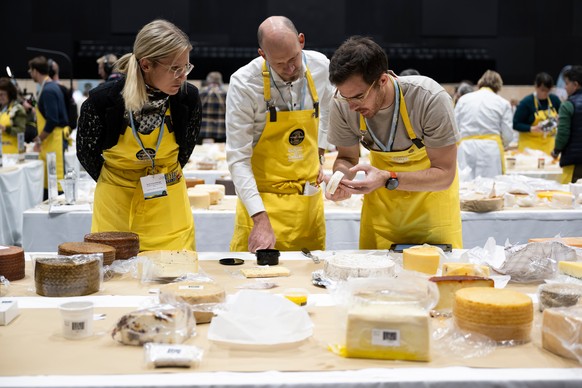 Members of the jury analyze and taste cheeses from different countries, during the 37th World Cheese Awards, at the Festhalle in Bern, Switzerland, Thursday, Nov. 13, 2025. (Anthony Anex/Keystone via  ...