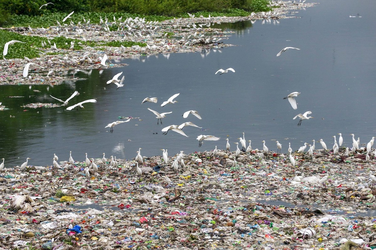 October 2, 2025, Dhaka, Bangladesh: October 02, 2025, Dhaka, Bangladesh: The rivers and canals around Dhaka were once vital sanctuaries of biodiversity. Countless fish swam in their waters, serving as ...