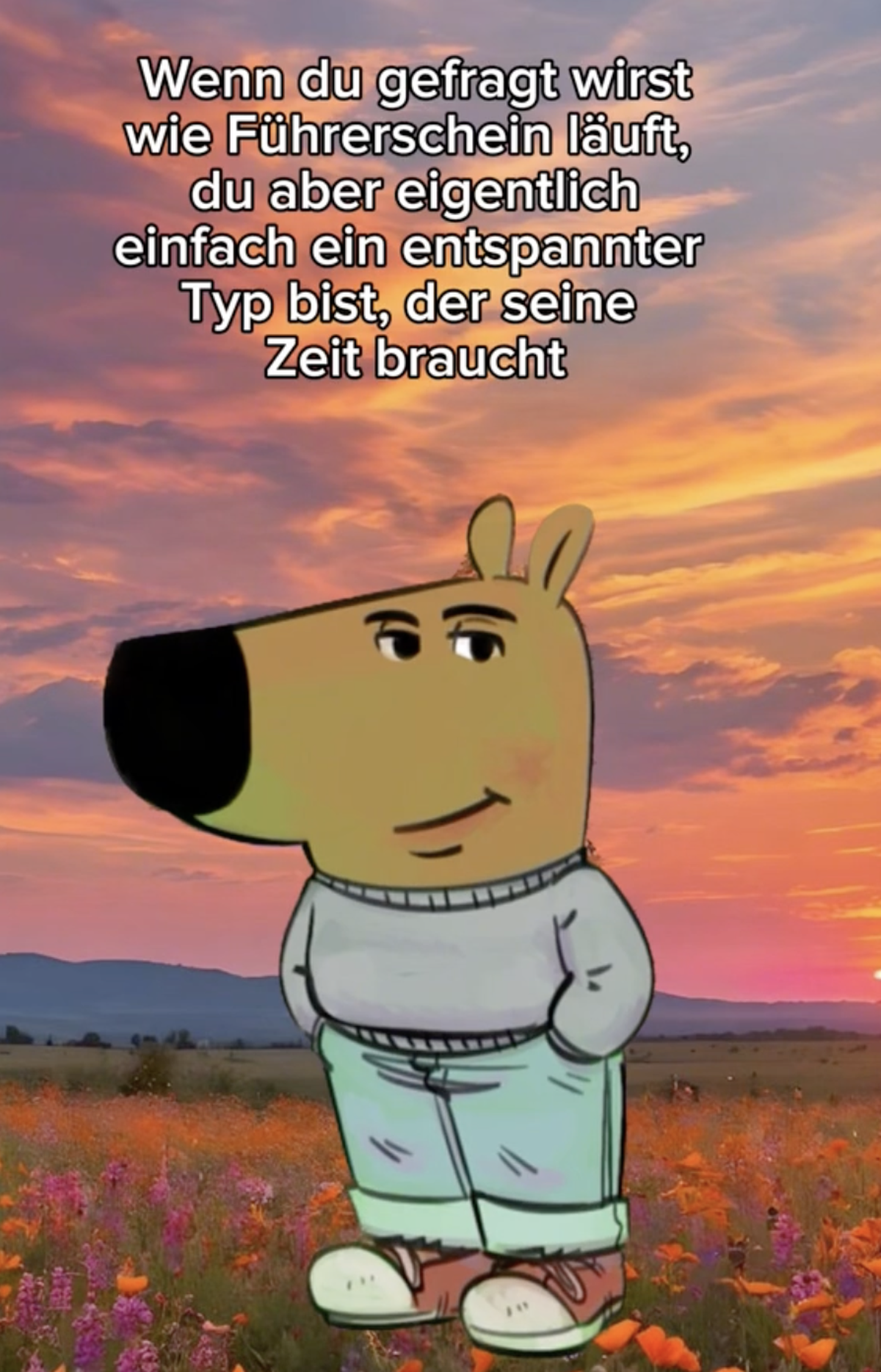 Chill Guy, Entspannter Typ