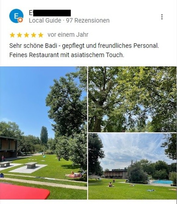 Funny Googole Reviews for Badi Seebach