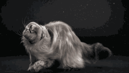 Animiertes GIF