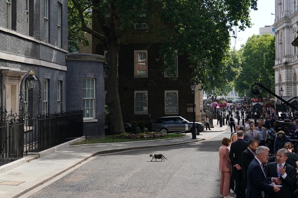 Journalists wait in Downing Street while Larry the cat, Chief Mouser to the Cabinet Office, crosses as Labour Party leader Andy Burnham is set to become the U.K.'s new prime minister on Monday, s ...