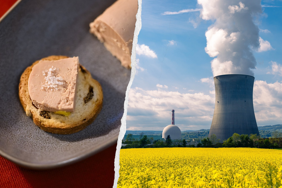 La Suisse votera sur le nucléaire et le foie gras en 2027