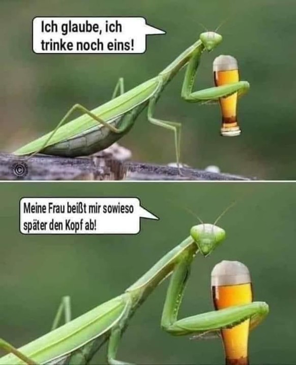 Was kann das wohl sein ...? рџ¤” (Picdump. Was sonst.)
Tchuligom :)