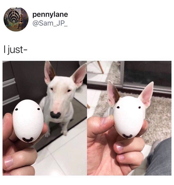 Lösen! Hallo! Da! Löööösen!
Eggdog 😂