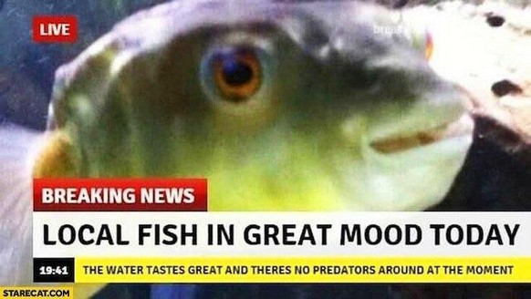 Happy Fisch
Cute News
http://imgur.com/gallery/r4FW6