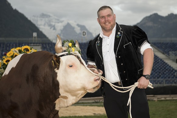 Christian Stucki praesentiert den Siegerstier &quot;Gottlieb&quot; am Unspunnen Schwinget, am Sonntag, 27. August 2017, in Interlaken. (KEYSTONE/Peter Schneider)