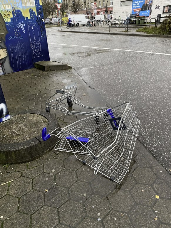 Gittertiere: Lustiger Subreddit mit Einkaufswägeli