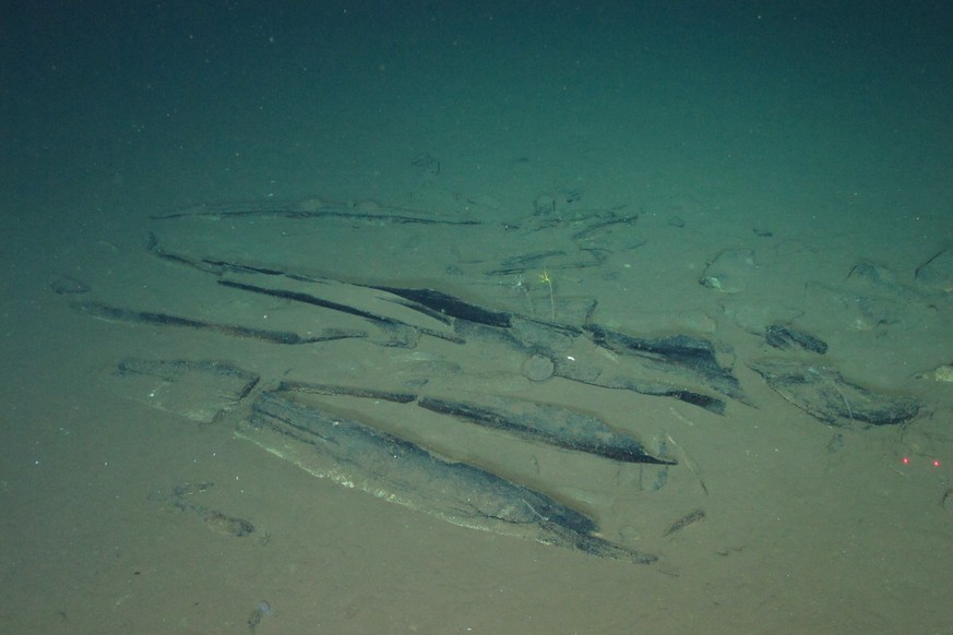 This undated image provided by Peng Zhou shows newly-discovered fossilized whale bones at a site deep underwater, southeastern Indian Ocean, in the Diamantina Fracture Zone. (Global TREnD, IDSSE via A ...