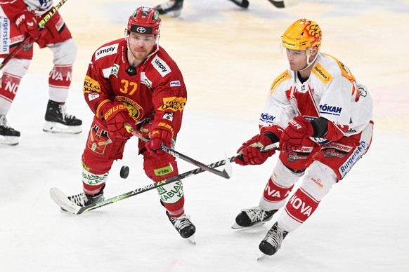 Tigers Sean Malone, links, im Kampf um den Puck gegen Rapperswils Postfinance Topscorer Tyler Moy, rechts, beim Eishockey-Qualifikationsspiel der National League zwischen den SCL Tigers und dem SC Rap ...