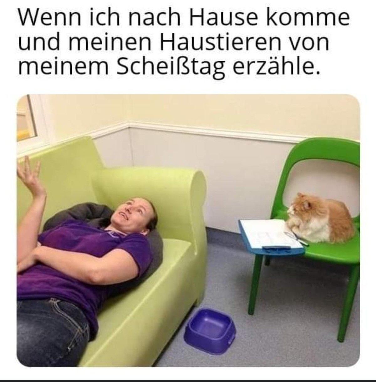 Wenn du den PICDUMP ganz fertig schaust, scheint morgen die Sonne! тШЭя╕П\nVielleicht sollte ich mir eine Katze zutun ЁЯзП