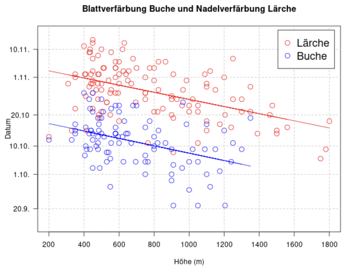 MeteoSchweiz Blattverfärbung Herbst Buche und Lärche