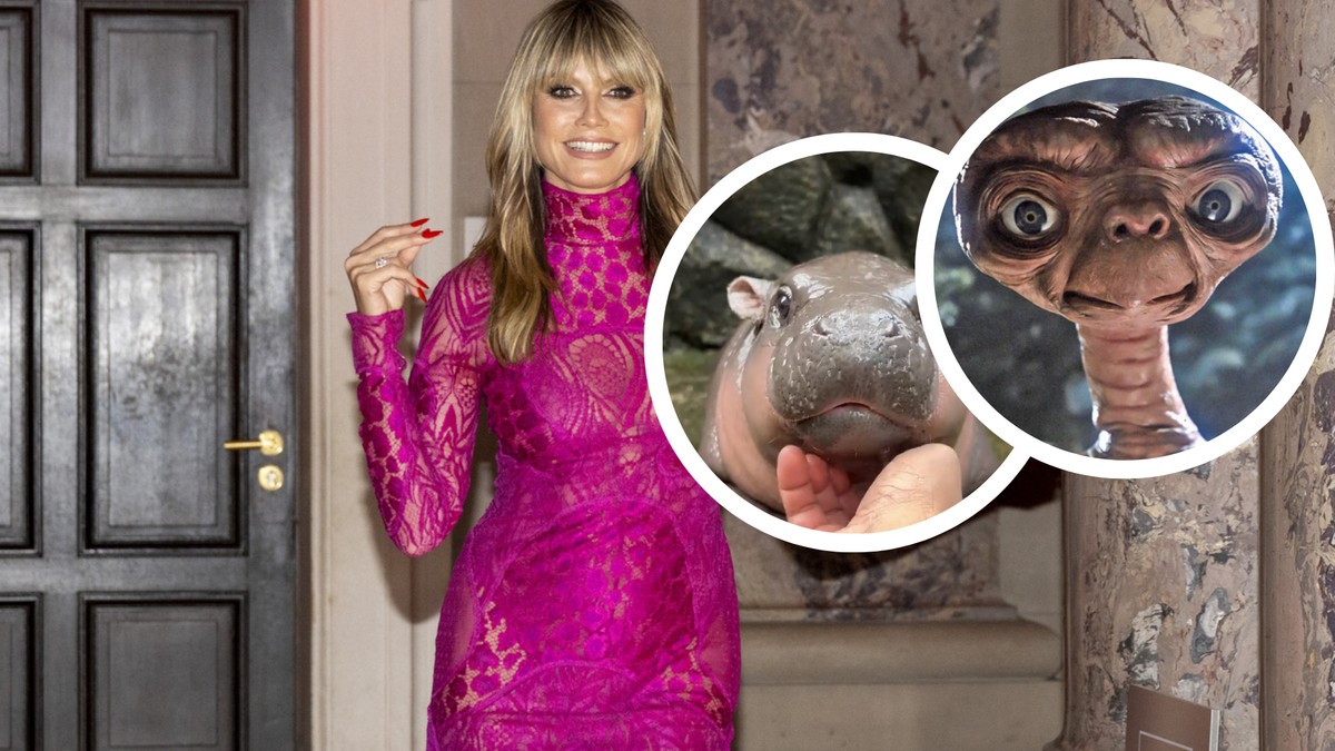 Selon vous, en quoi Heidi Klum va se déguiser pour Halloween?