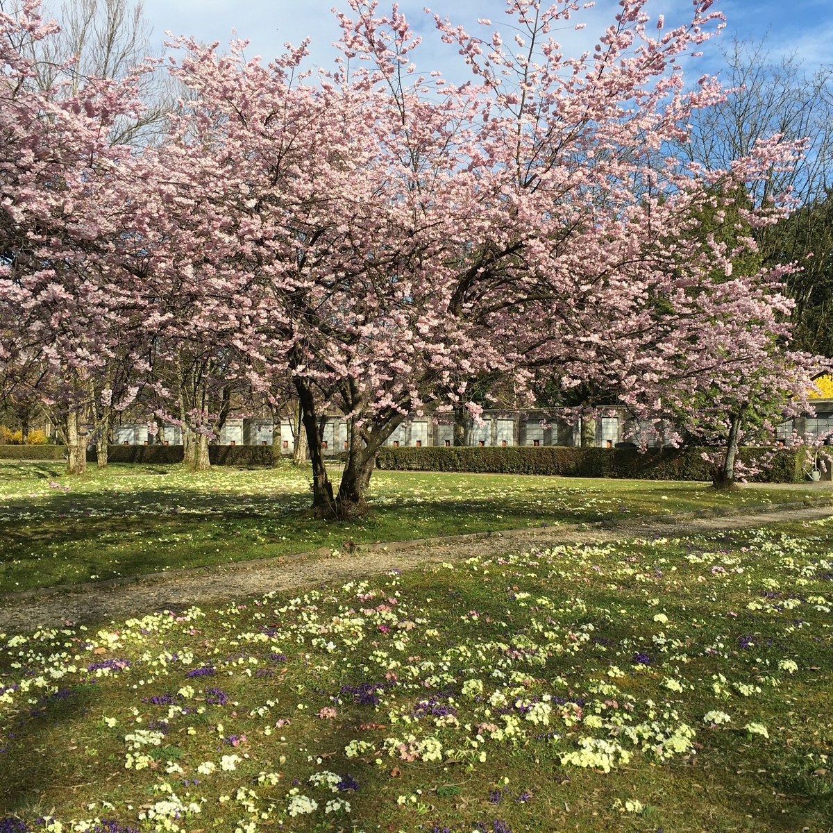 Frühling ist trotzdem.