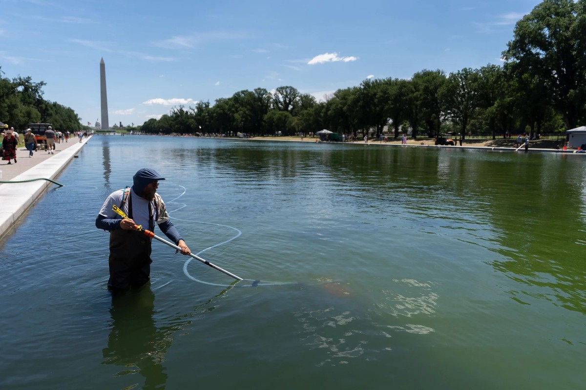 Un employé enlève les algues du Reflecting Pool à Washington.