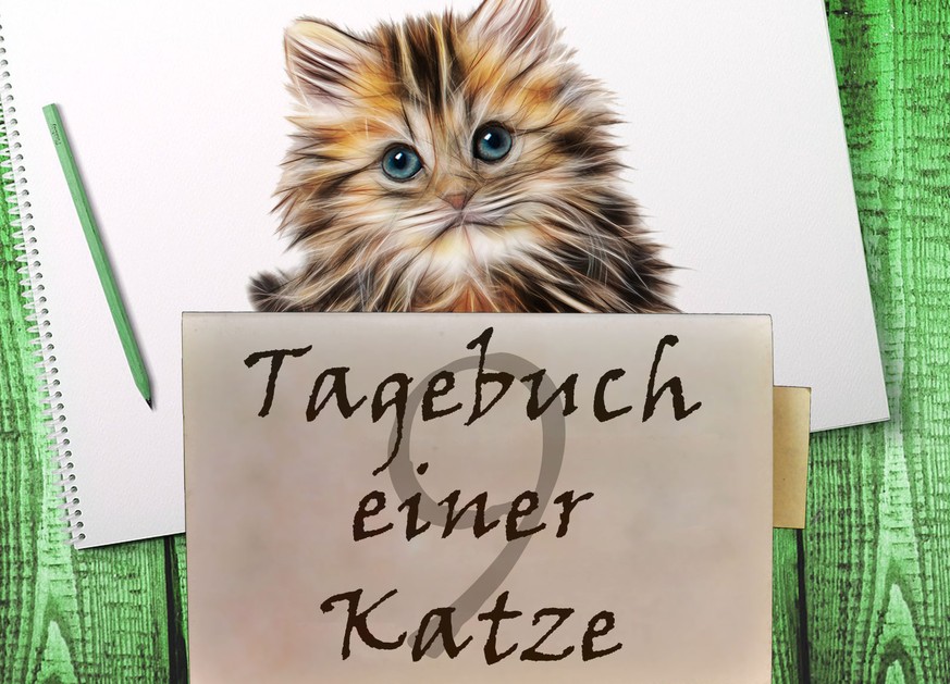 «Liebes Tagebuch, warum ist mein Mensch nie wütend auf mich?!»