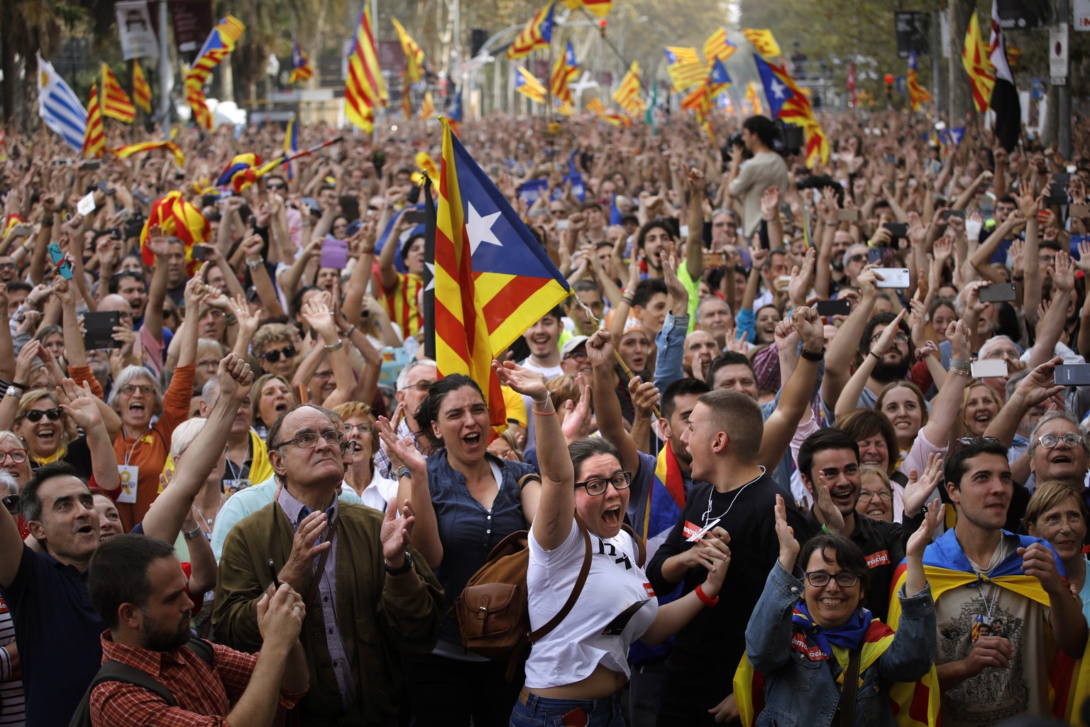 People react as they celebrate the unilateral declaration of independence of Catalonia outside the Catalan Parliament, in Barcelona, Spain, Friday, Oct. 27, 2017. Catalonias&#039; regional Parliament  ...