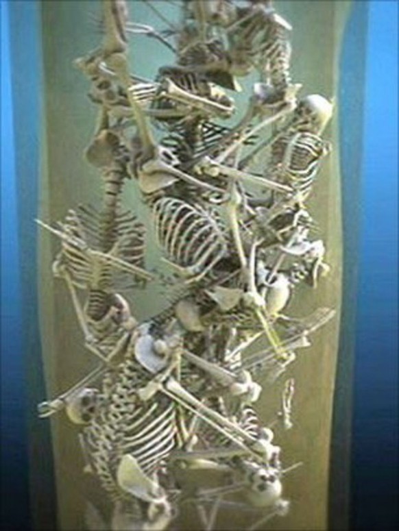 Massaker von Norwich: 800 Jahre alte menschliche Skelette im Brunnen von Chapelfield, Norwich.