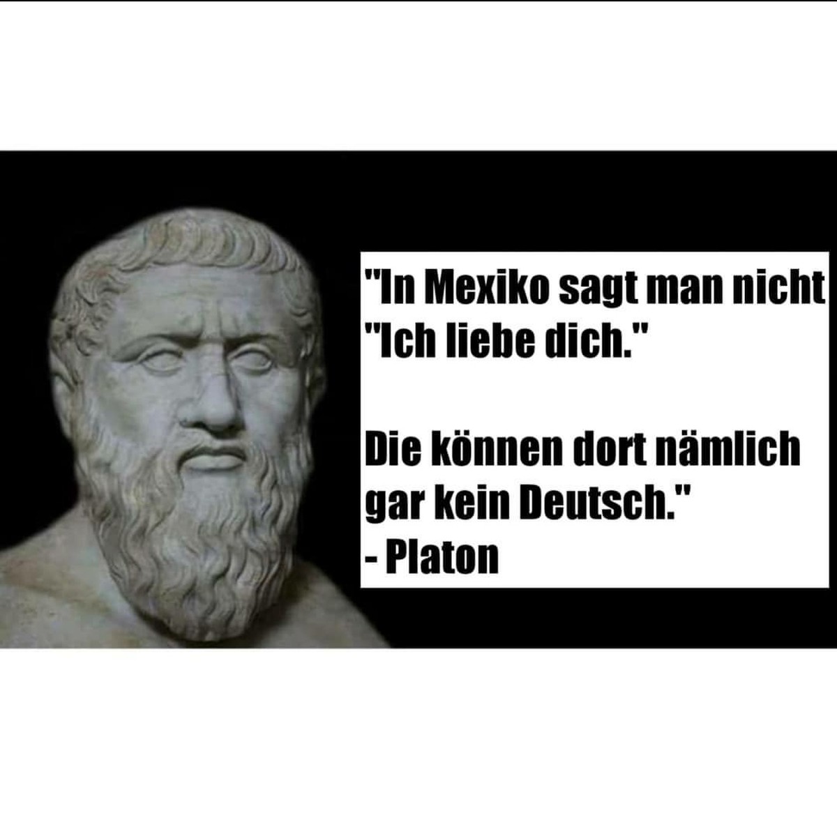 PICDUMP! Chumm au!
Stumpf ist Trumpf! Tchuligom
