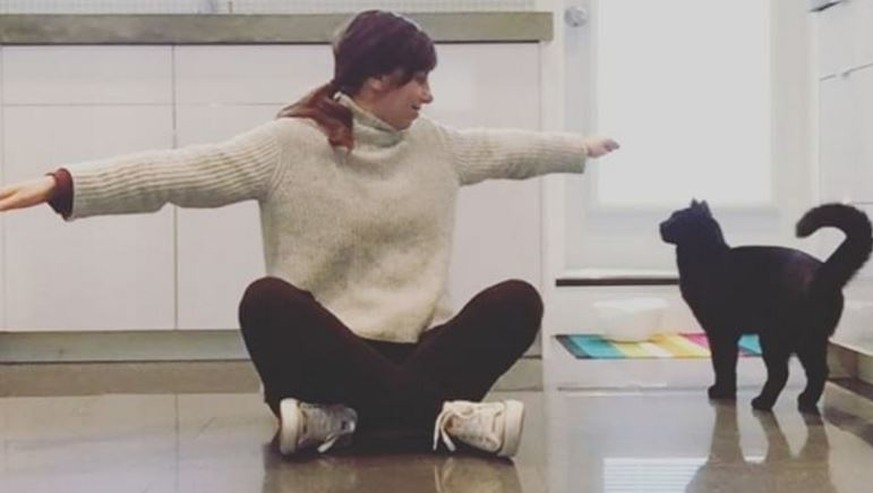 12 Tricks, die du deiner Katze beibringen solltest