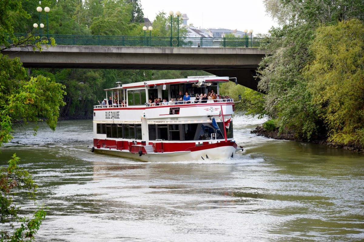 In Wien gibt es eine Menge zu sehen – ausser auf dem Donau-Schiff.