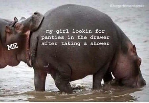 https://www.reddit.com/r/absolutelynotme_irl/comments/daqdy6/absolutelynotme_irl/