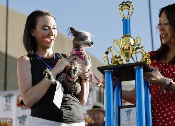epa12290662 Poppy, a Chinese Crested/Gremlin mix and her owner Allison Green awarded Third Place in the 2025 World?s Ugliest Dog Contest at the Sonoma County Fair in Santa Rosa, California, USA, 08 Au ...