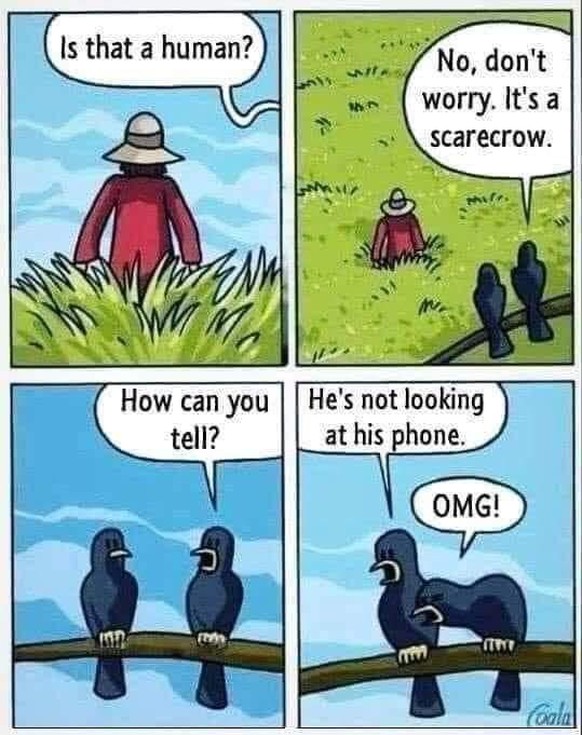 Kann es noch komischer werden? Ja. Willkommen beim PICDUMP!