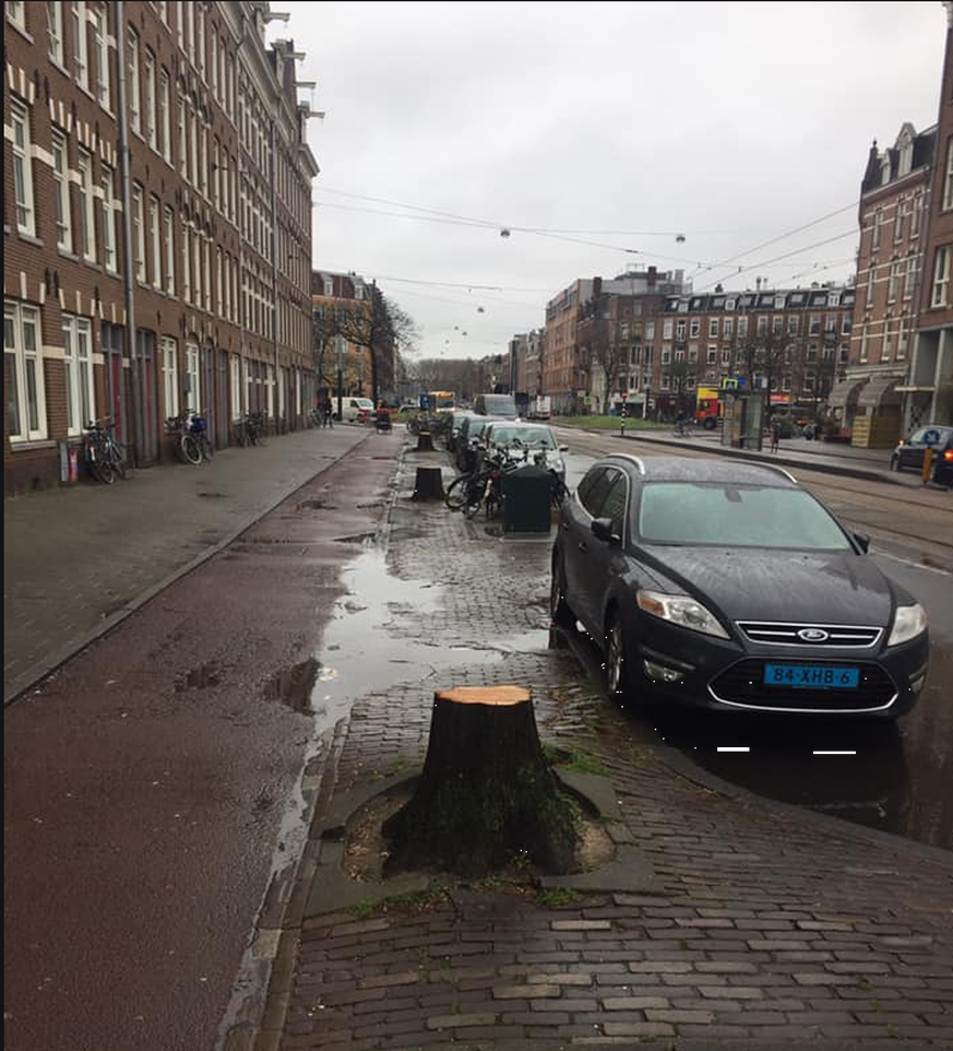 Das Foto zeige eine Strasse in Amsterdam, an der angeblich sämtliche Bäume wegen des 5G-Netzes gefällt wurden.