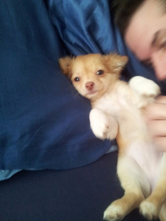 Du bist nur noch eine Cute News vom Weekend entfernt
Hier mein persönlicher Cute News Input: