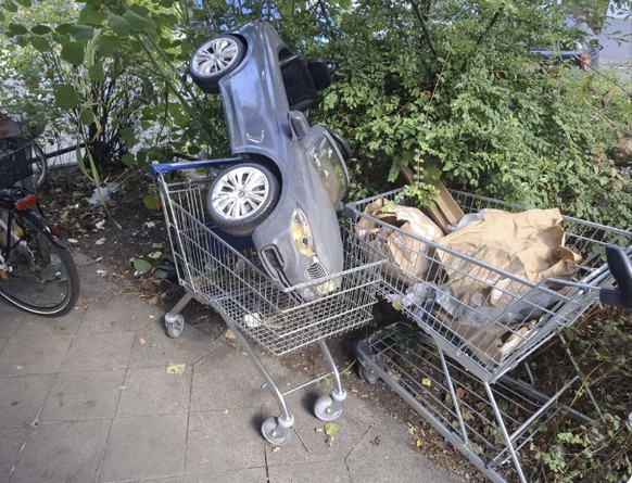 Gittertiere auf Reddit: Lustige Einkaufswagen/Einkaufswägelchen