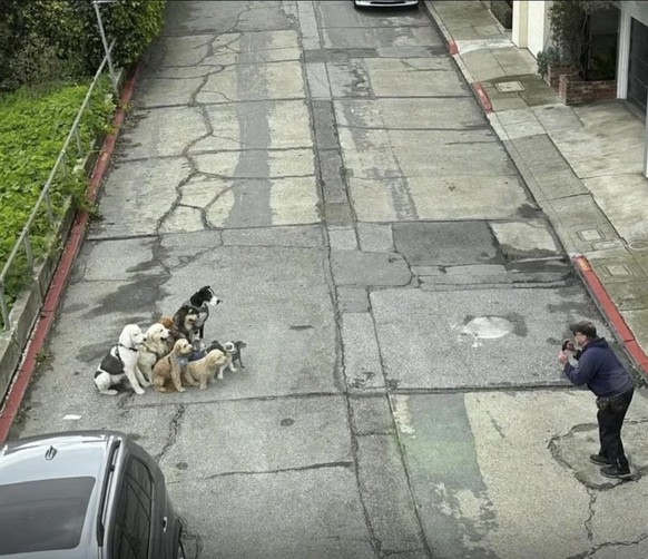 Made me Smile: Liebe Hunde