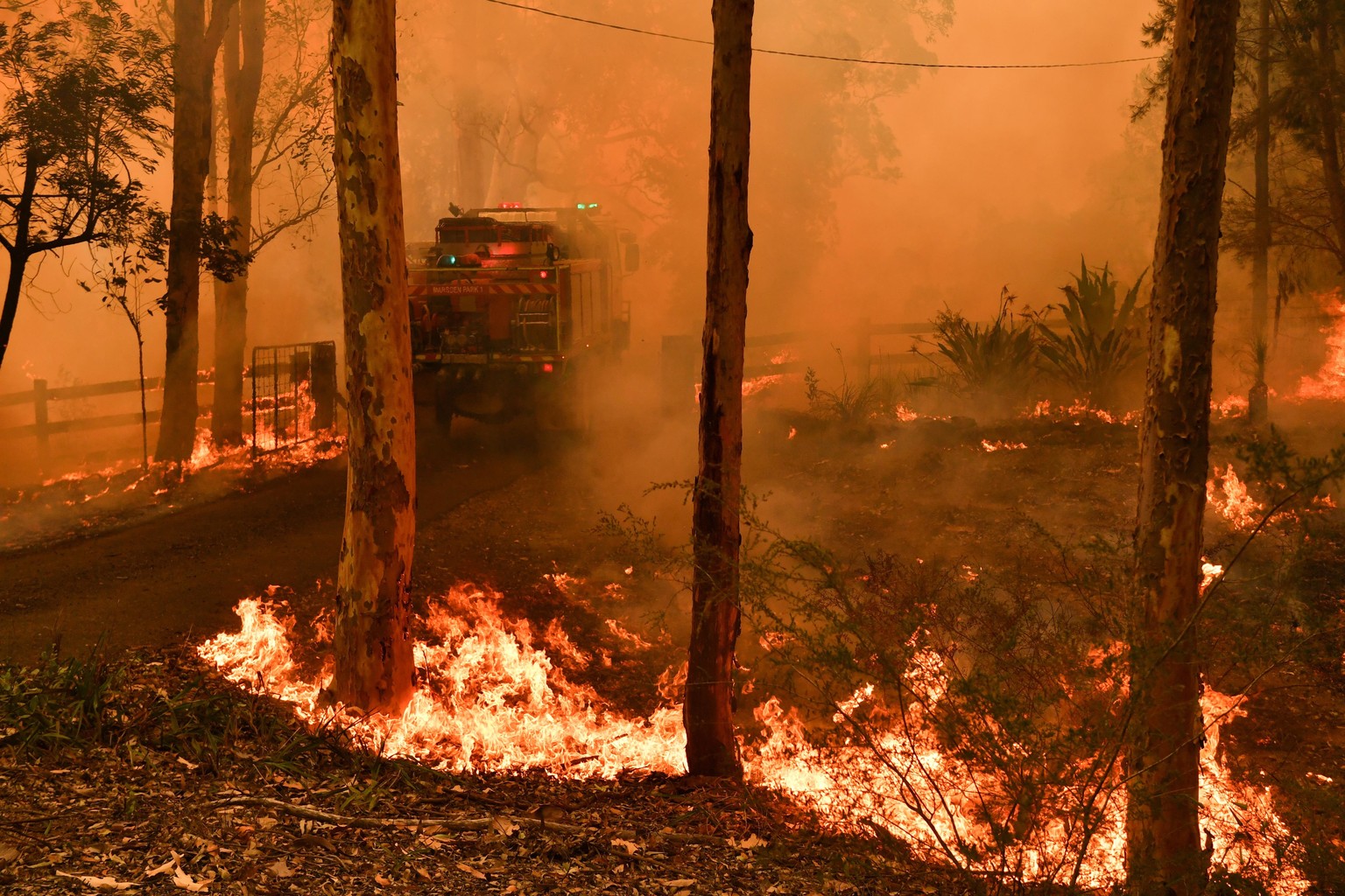 Ein Feuerwehrauto umgeben von Flammen in Werombi, 50 Kilometer südlich von Sydney. 
