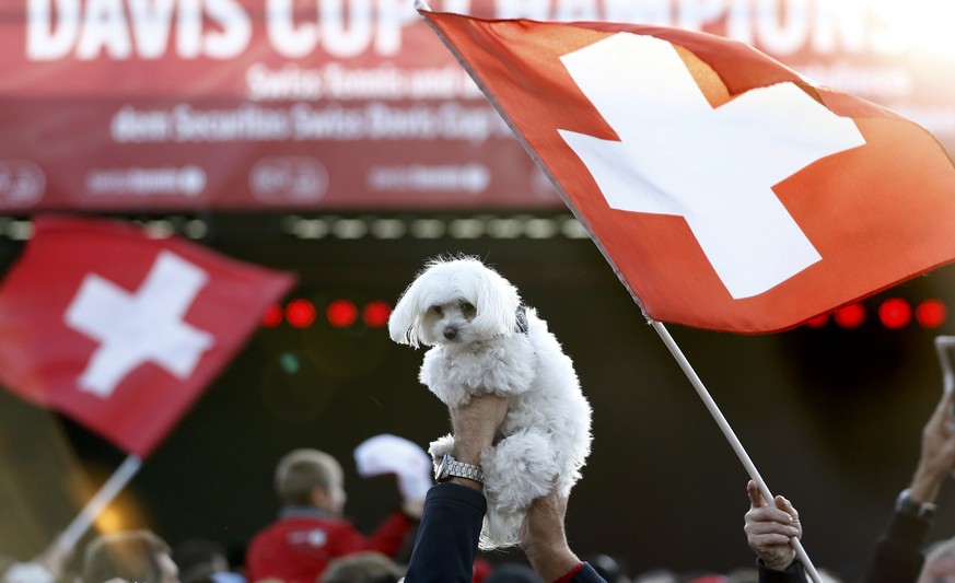 Dieser süsse Hund hat mehr Spass an Tennis als die watson-Reporterin vor Ort.