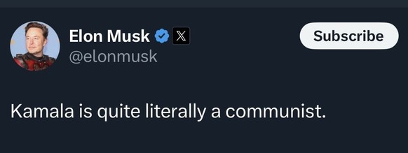 Musk bezeichnet Kamala Harris als Kommunistin.