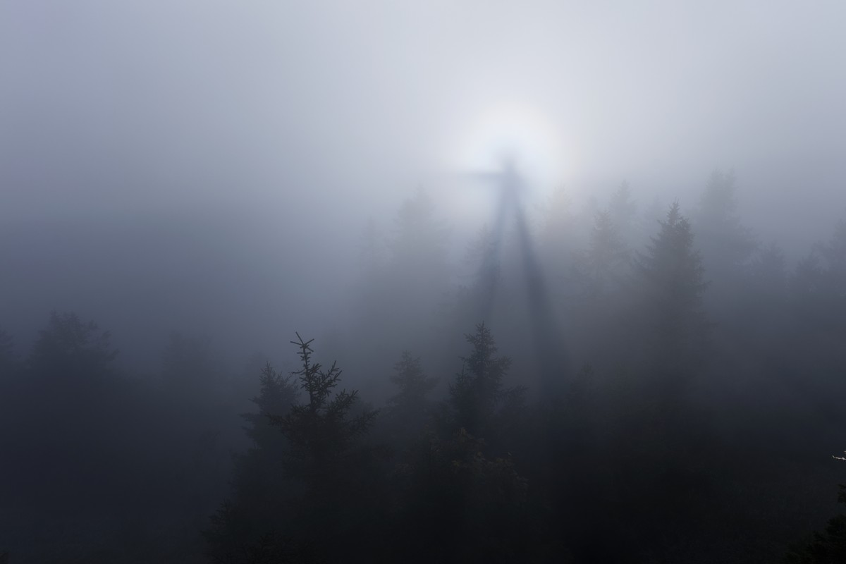 Ein selten beobachtetes Lichtphaenomen, aufgenommen am Samstag, 26. September 2015, auf der Rigi. Die Sonne strahlt von hinten eine Person an, so dass diese auf den Nebel projiziert wird. Dieser optis ...