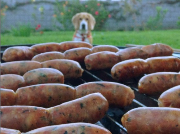 Hund vor Wurst
Cute News
https://i.imgur.com/P0B72wD.mp4