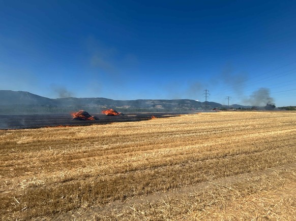 Brand Feld Deitingen SO 11.7.26